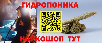 spice Можга