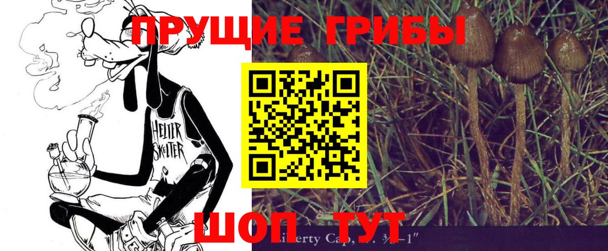 Галлюциногенные грибы ЛСД Туапсе
